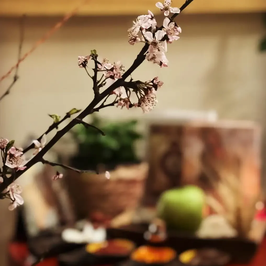 تصویر روز | عکس جدید و جذاب «مهراوه شریفینیا» در منزلش کنار سفره هفت سین 1404 مهراوه1 2 edited