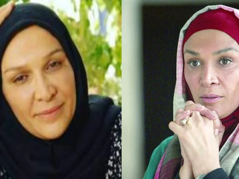 زندگی شخصی و بیوگرافی مینا نوروزی