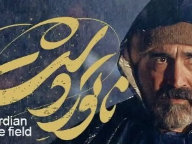 نگاهی به فروش آخرهفته «ناتوردشت» در جمع فیلمهای اجتماعی صدر جدول