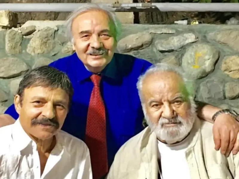 تغییر چهره دیدنی «ناصرملک مطیعی و رضا عبدی» در فیلم عسل تلخ سال 1340