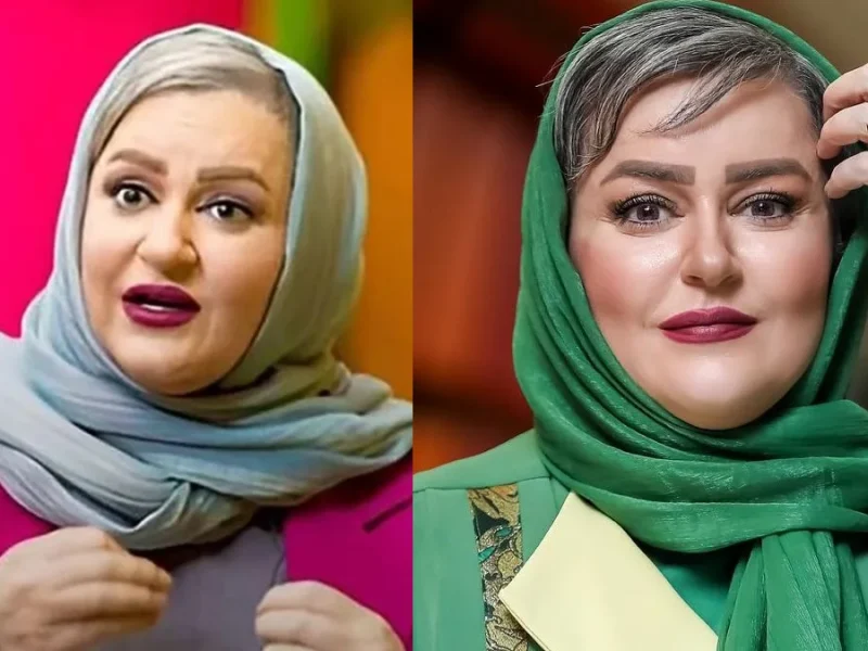 نعیمه نظام دوست در کنسرت حمید هیراد