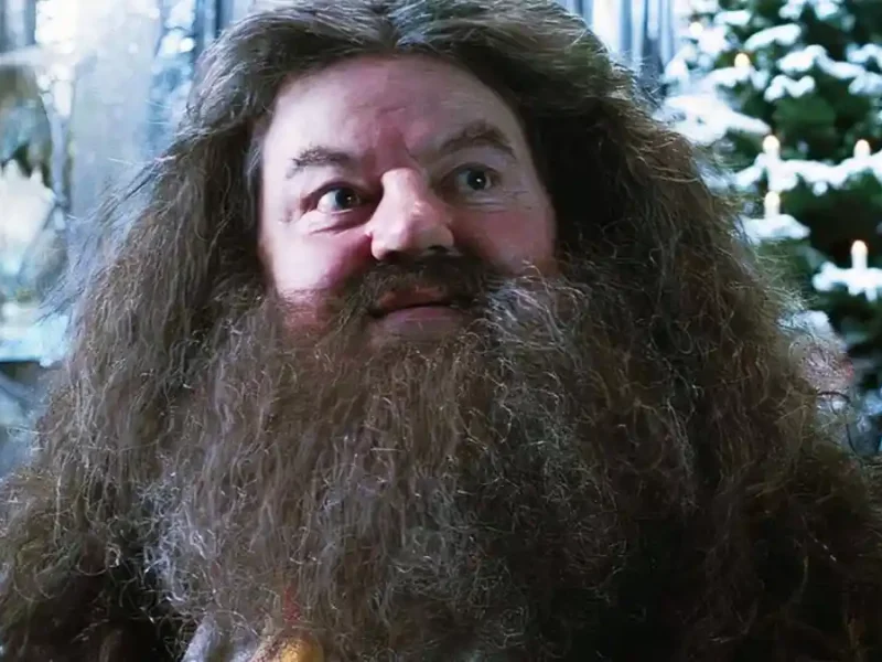 اولین تصویر از نیک فراست در نقش هاگرید در سریال Harry Potter منتشر شد