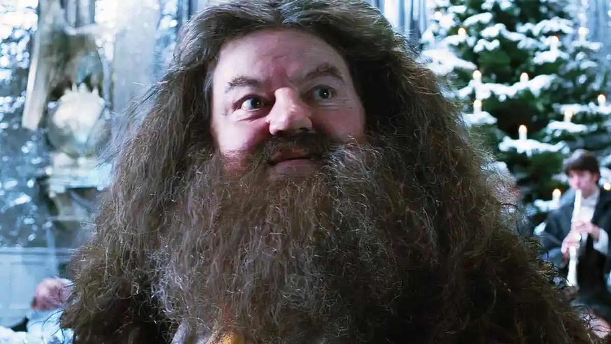 اولین تصویر از نیک فراست در نقش هاگرید در سریال Harry Potter منتشر شد