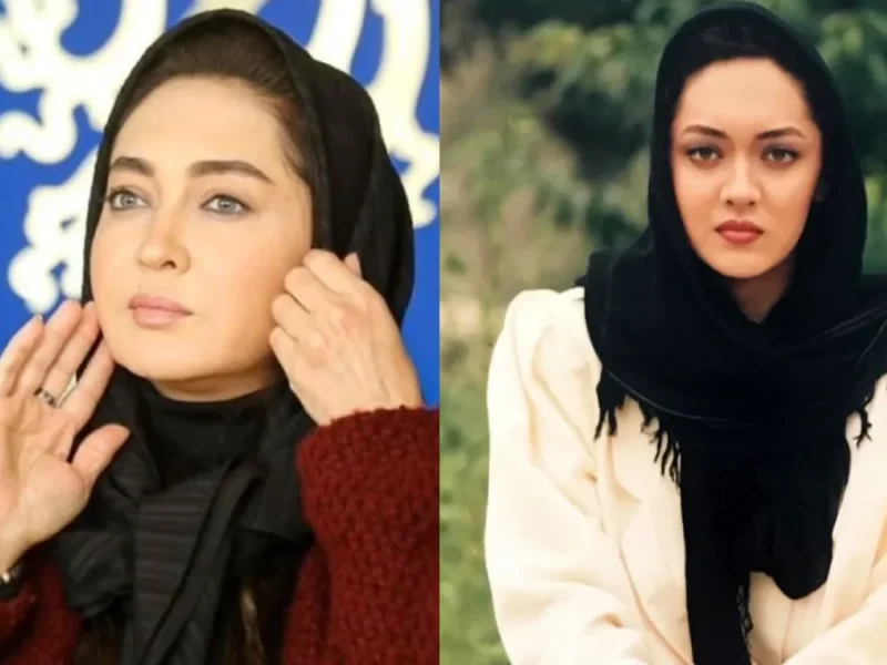 نگاهی به تغییر چهره «نیکی کریمی» بازیگر توانمند سریال سرزمین مادری